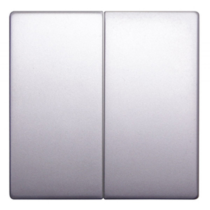 Клавіша E.NEXT e.lux.11021L.pn.aluminium подвійна "алюміній" (ins0040096)