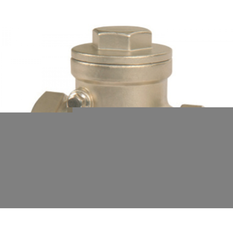 Клапан зворотний муфтовий нержавіючий AYVAZ SC-200 Ду 32 (1 1/4")